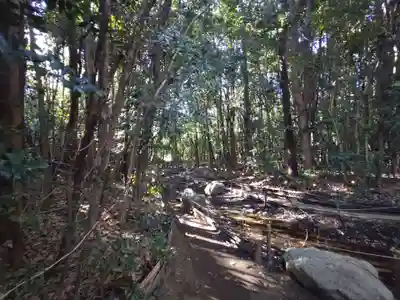 龍蛇神の社(神奈川県)