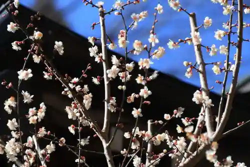 鹿島大神宮の庭園