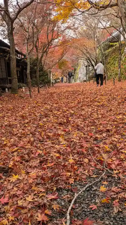 三千院門跡(京都府)