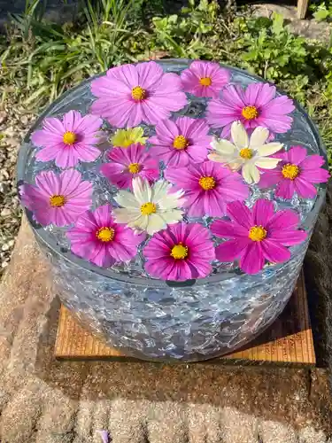 般若寺 ❁﻿コスモス寺❁の手水舎