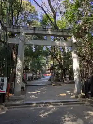 道野辺八幡宮(千葉県)