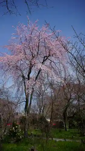 平野神社(京都府)
