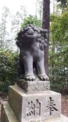 京極八幡神社の狛犬
