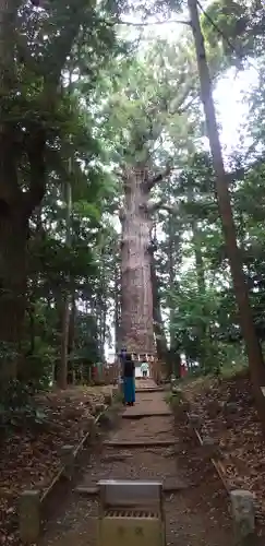 麻賀多神社の自然