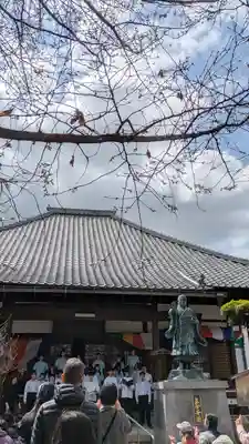 墨染寺（桜寺）(京都府)