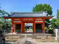 國分寺の{uncategorized: "未分類", other: "その他", undefined: "問題あり", building: "その他建物", grave: "お墓", sacred_gate: "鳥居", guardian: "狛犬", statue: "像", buddha: "仏像", history: "歴史", nature: "自然", garden: "庭園", animal: "動物", pagoda: "塔", temizu: "手水舎", mountain_gate: "山門・神門", sanctuary: "本殿・本堂", subordinate: "末社・摂社", art: "芸術", scenery: "景色", jizo: "地蔵", ema: "絵馬", goshuin: "御朱印", omikuji: "おみくじ", items: "授与品その他", amulet: "お守り", goshuincho: "御朱印帳", eats: "食事", festival: "お祭り", votive_dance: "神楽", shichigosan: "七五三参", wedding: "結婚式", experience: "体験その他", initially: "初詣", around: "周辺", anti_infection: "感染症対策"}