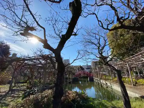 亀戸天神社の庭園