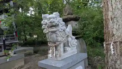 中川熊野神社の狛犬