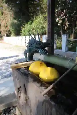 佐野赤城神社(栃木県)