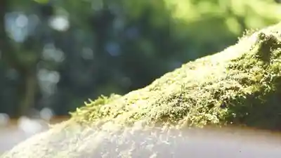 詩仙堂(丈山寺)(京都府)