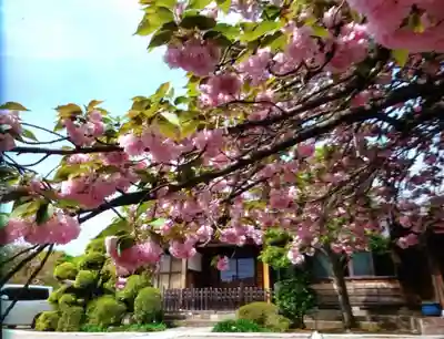 境妙寺(東京都)