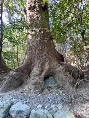 伊勢神宮外宮（豊受大神宮）の{uncategorized: "未分類", other: "その他", undefined: "問題あり", building: "その他建物", grave: "お墓", sacred_gate: "鳥居", guardian: "狛犬", statue: "像", buddha: "仏像", history: "歴史", nature: "自然", garden: "庭園", animal: "動物", pagoda: "塔", temizu: "手水舎", mountain_gate: "山門・神門", sanctuary: "本殿・本堂", subordinate: "末社・摂社", art: "芸術", scenery: "景色", jizo: "地蔵", ema: "絵馬", goshuin: "御朱印", omikuji: "おみくじ", items: "授与品その他", amulet: "お守り", goshuincho: "御朱印帳", eats: "食事", festival: "お祭り", votive_dance: "神楽", shichigosan: "七五三参", wedding: "結婚式", experience: "体験その他", initially: "初詣", around: "周辺", anti_infection: "感染症対策"}