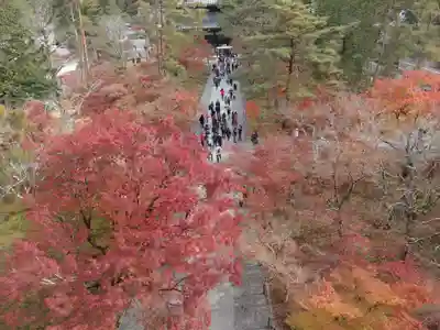 南禅寺(京都府)