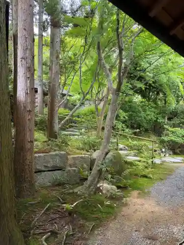 主乃雅神社の{uncategorized: "未分類", other: "その他", undefined: "問題あり", building: "その他建物", grave: "お墓", sacred_gate: "鳥居", guardian: "狛犬", statue: "像", buddha: "仏像", history: "歴史", nature: "自然", garden: "庭園", animal: "動物", pagoda: "塔", temizu: "手水舎", mountain_gate: "山門・神門", sanctuary: "本殿・本堂", subordinate: "末社・摂社", art: "芸術", scenery: "景色", jizo: "地蔵", ema: "絵馬", goshuin: "御朱印", omikuji: "おみくじ", items: "授与品その他", amulet: "お守り", goshuincho: "御朱印帳", eats: "食事", festival: "お祭り", votive_dance: "神楽", shichigosan: "七五三参", wedding: "結婚式", experience: "体験その他", initially: "初詣", around: "周辺", anti_infection: "感染症対策"}