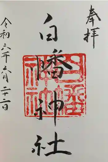 白幡神社の御朱印 2024年06月