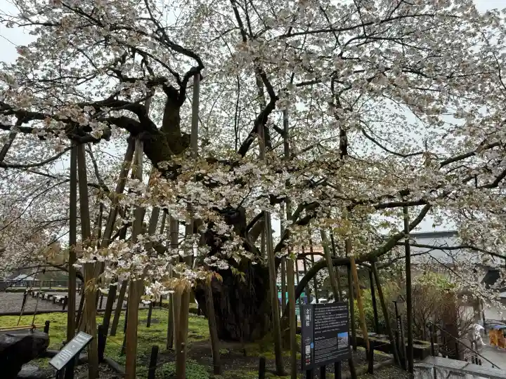 輪王寺(栃木県)