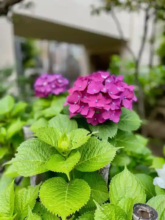 福王山 慈眼寺の自然