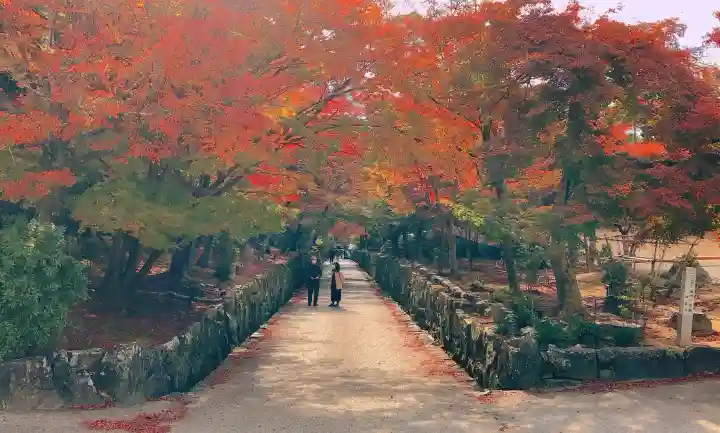 興聖寺(興聖寶林禅寺)(京都府)