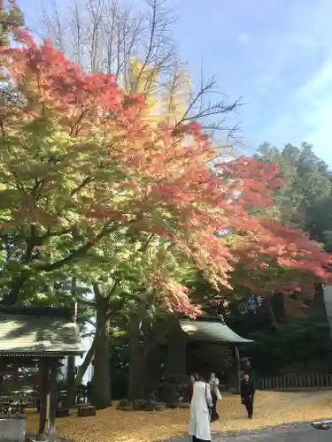 温泉神社〜いわき湯本温泉〜の自然