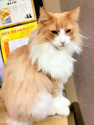 駒込妙義神社(東京都)