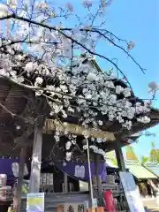 下庄八幡神社(福岡県)