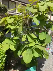 桃太郎神社（栗栖）(愛知県)