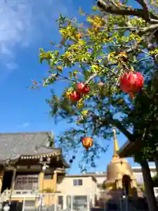 福王山 慈眼寺(東京都)(2025年11月05日(水) 11時37分34秒投稿)