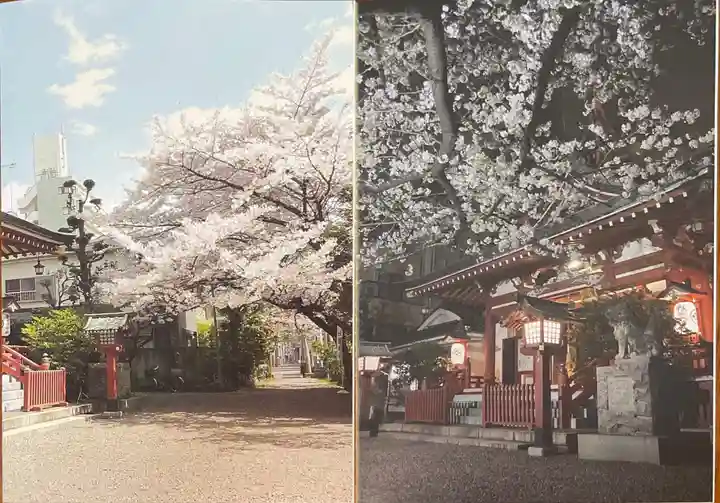 秋葉神社の授与品その他