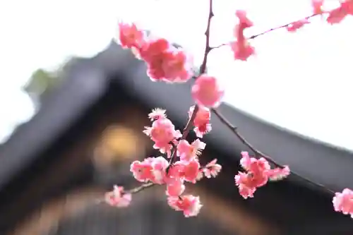 枚岡神社(大阪府)