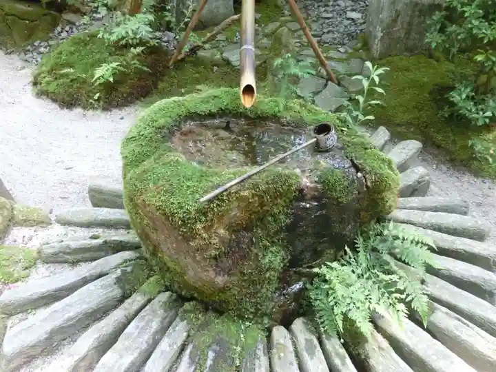 宝泉院の手水舎