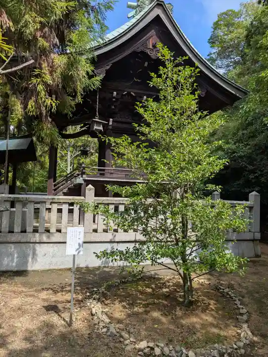 木華佐久耶比咩神社(岡山県)