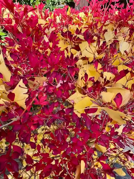 和田神社(滋賀県)