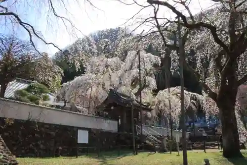清雲寺(埼玉県)