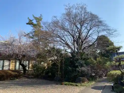 宥勝寺の庭園