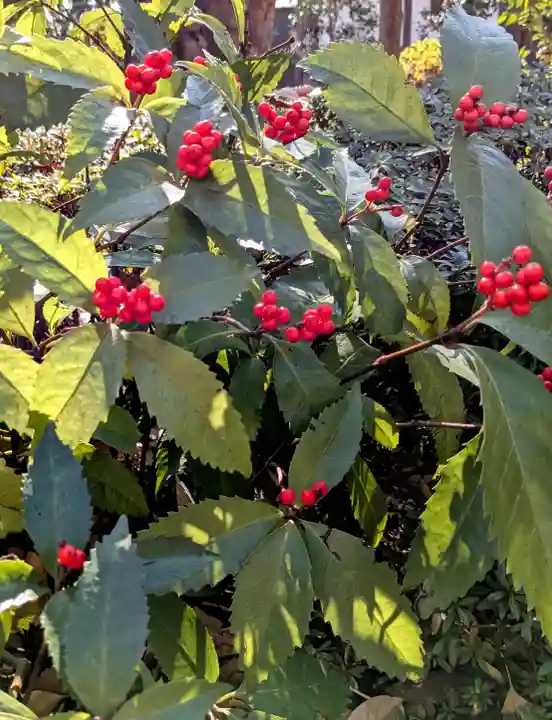 横浜 西方寺(神奈川県)