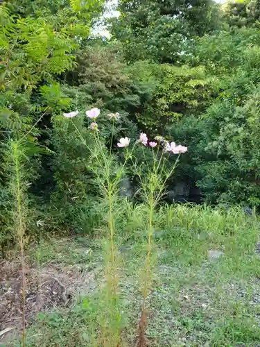 白金氷川神社(東京都)