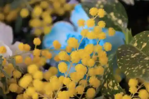 豊景神社の手水