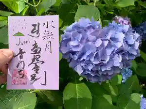 普門寺(切り絵御朱印発祥の寺)の御朱印(2021年06月05日(土) 08時20分00秒投稿)