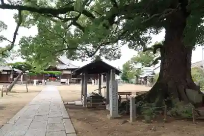 長尾寺のその他建物