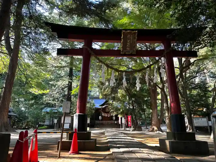 氷川女體神社(埼玉県)