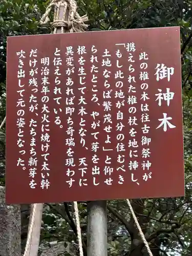 彌彦神社(新潟県)