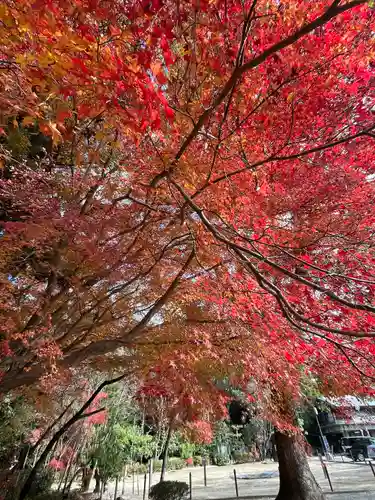 石清水八幡宮(京都府)