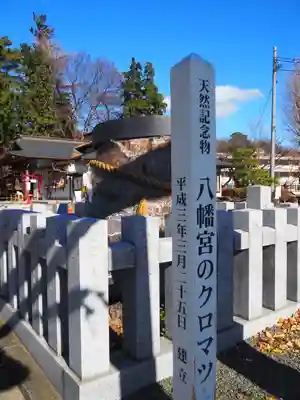 下野國一社八幡宮(栃木県)