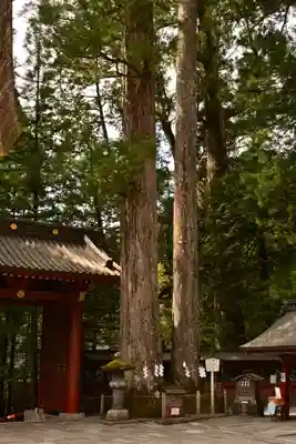 日光二荒山神社(栃木県)