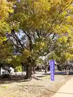 伏木香取神社の自然