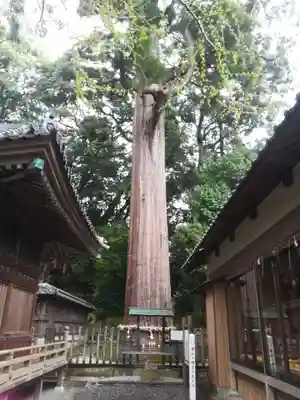 事任八幡宮(静岡県)