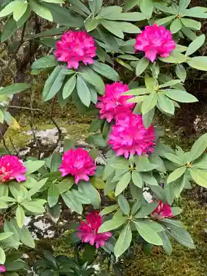 一條殿 新善光寺(京都府)