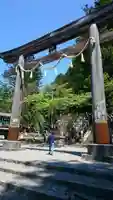戸隠神社宝光社の鳥居