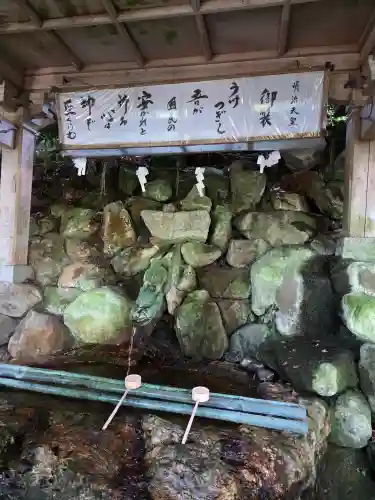 白山比咩神社の{uncategorized: "未分類", other: "その他", undefined: "問題あり", building: "その他建物", grave: "お墓", sacred_gate: "鳥居", guardian: "狛犬", statue: "像", buddha: "仏像", history: "歴史", nature: "自然", garden: "庭園", animal: "動物", pagoda: "塔", temizu: "手水舎", mountain_gate: "山門・神門", sanctuary: "本殿・本堂", subordinate: "末社・摂社", art: "芸術", scenery: "景色", jizo: "地蔵", ema: "絵馬", goshuin: "御朱印", omikuji: "おみくじ", items: "授与品その他", amulet: "お守り", goshuincho: "御朱印帳", eats: "食事", festival: "お祭り", votive_dance: "神楽", shichigosan: "七五三参", wedding: "結婚式", experience: "体験その他", initially: "初詣", around: "周辺", anti_infection: "感染症対策"}