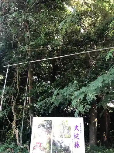 加紫久利神社(鹿児島県)
